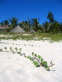 Пляж на Мадагаскаре
