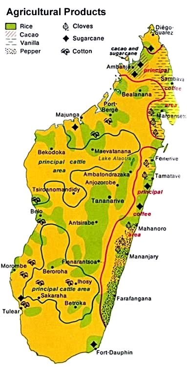 Сельское хозяйство на Мадагаскаре